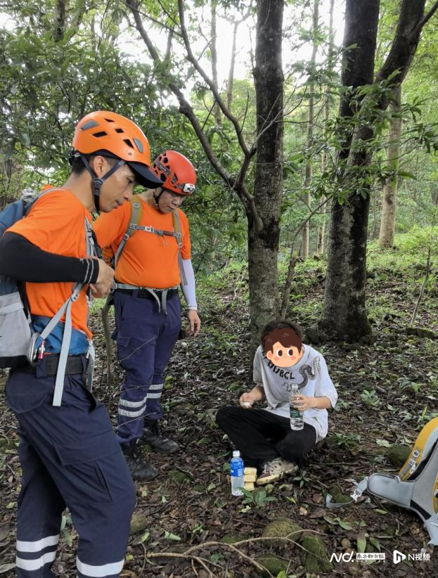 第41页